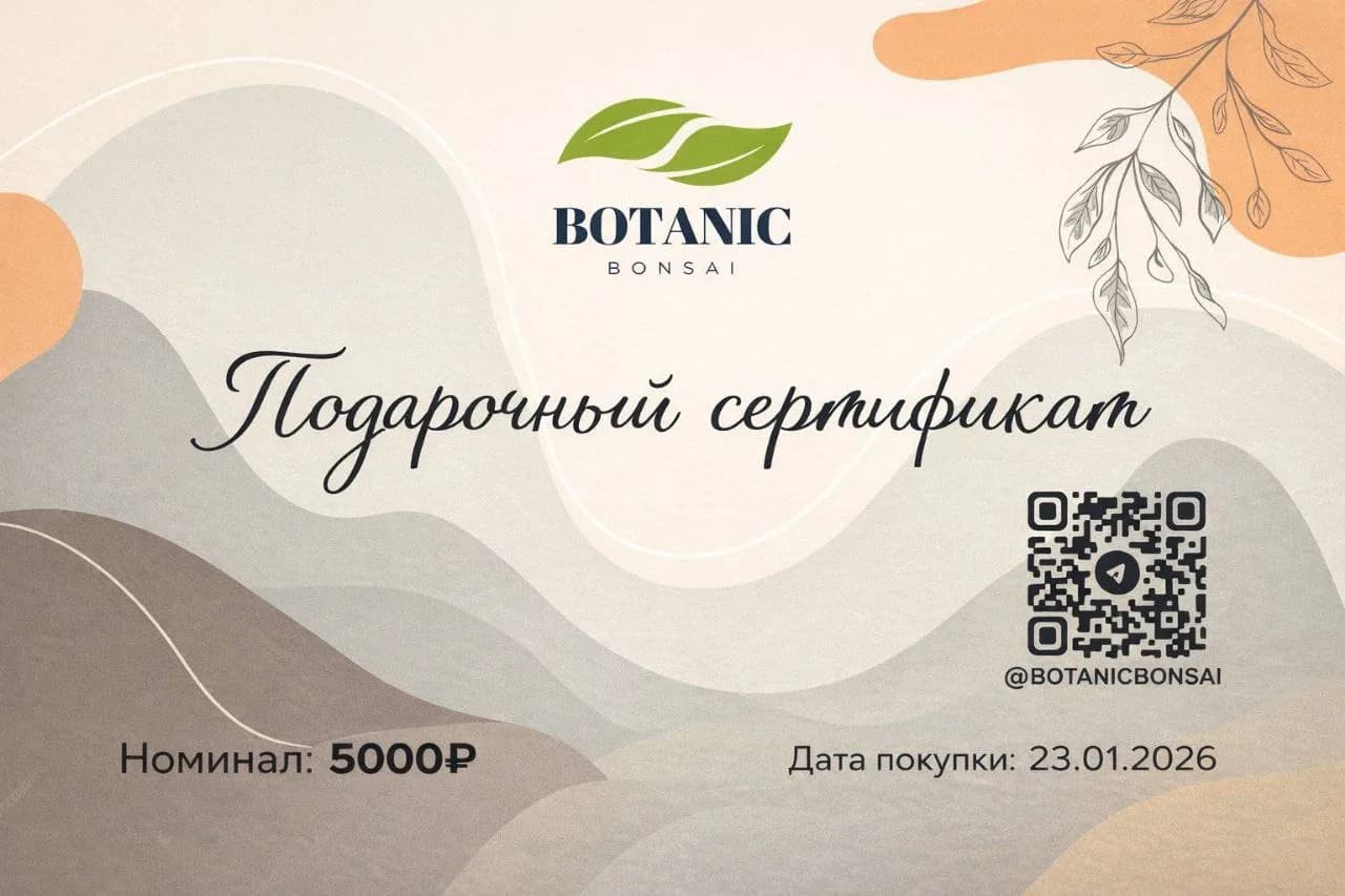 Подарочный сертификат Botanic Bonsai — пример оформления